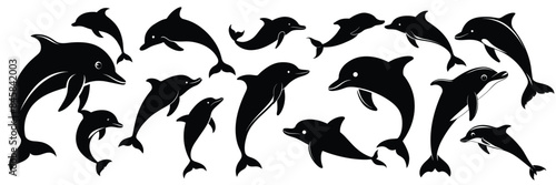 Collection of Dolphins silhouette. Hand drawn vector art.
