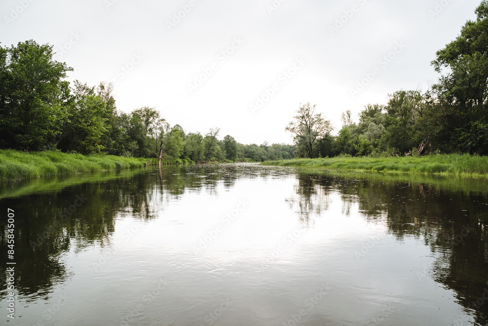 Fototapeta premium Enjoy the tranquil riverside landscape with lush greenery and calm water, providing a serene natural scenery for relaxation and reflection in the peaceful surroundings