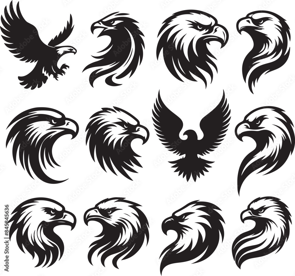 Fototapeta premium set of eagle hade logo vector illustration 