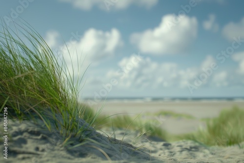 Serene beach landscape with sand dunes and vibrant green grass