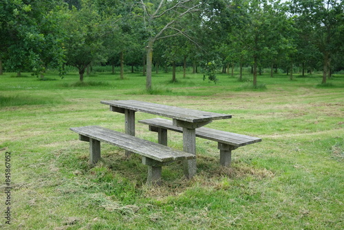 Wooden grey table for picnic in green park