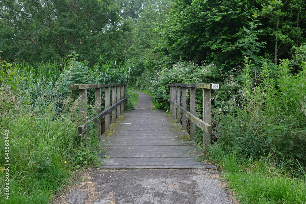 Symmetry of wooden bridge in public green park Symmetry of wooden bridge in public green park