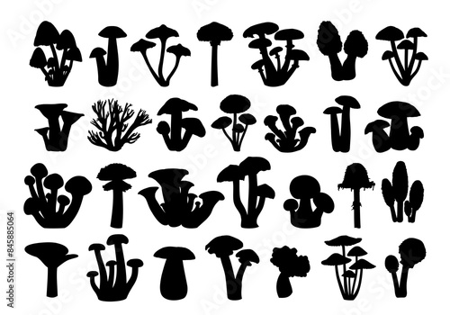 The set silhouettes of forest mushrooms.