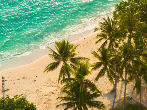 Tropical Beach. Sandy beach with palm and turquoise sea. Summer vacation and tropical beach concept.