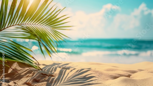 Leaf and Sandy Beach with Blurred Bokeh