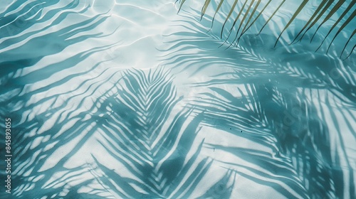 Top view of tropical leaf shadow on water surface