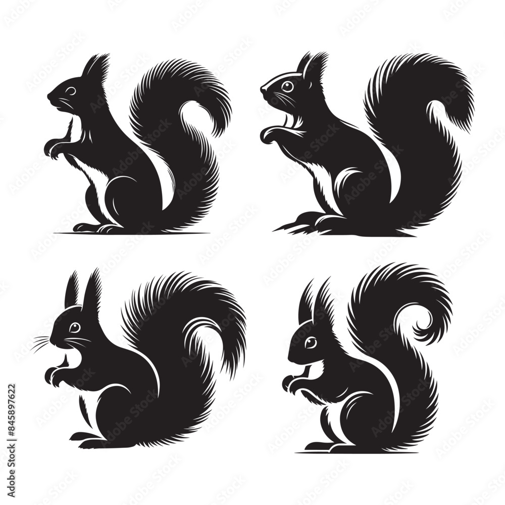 Squirrel vector silhouette Squirrel vector silhouette