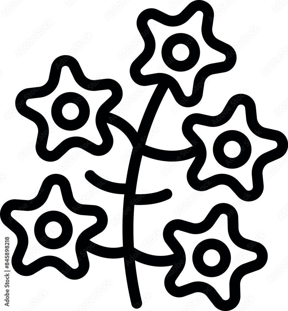 Line drawing of a bouquet of flowers with star shaped petals blooming on a thin stem Line drawing of a bouquet of flowers with star shaped petals blooming on a thin stem