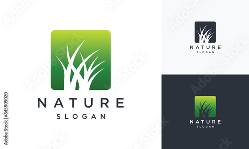 Natural Vector grass logo. Design templates for wild grass, artificial grass, field grass, lawn grass, wild grass.	
