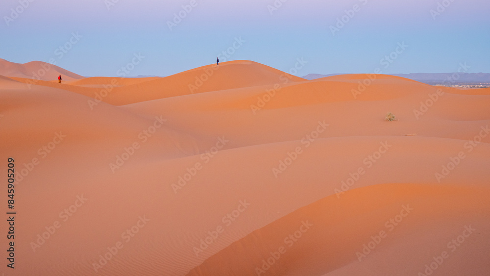 Naklejka premium Sahara desert