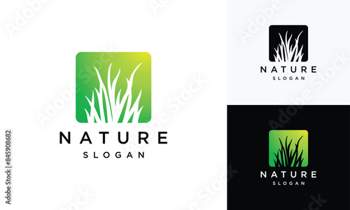Natural Vector grass logo. Design templates for wild grass, artificial grass, field grass, lawn grass, wild grass.	
