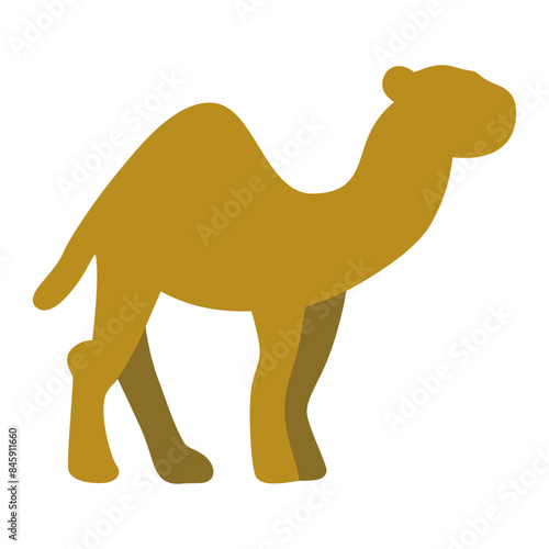 Camel