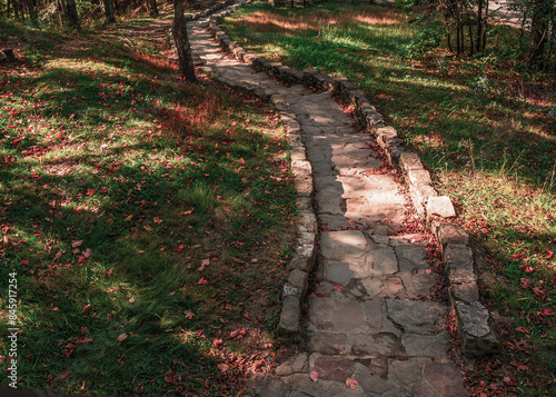 Narrow path going threw small wooded area