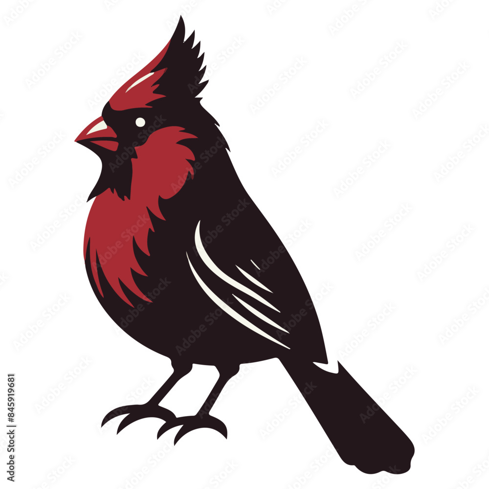 Obraz premium Cardinal bird vector art illustration