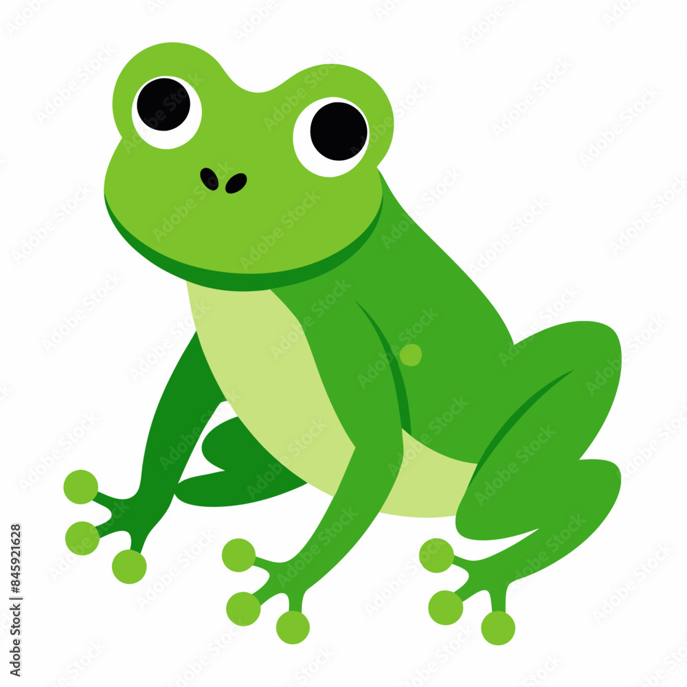 Fototapeta premium Charming Frog Vector Illustrations on White Background: Perfect for Design Projects