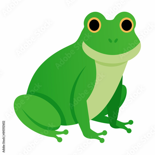 Charming Frog Vector Illustrations on White Background: Perfect for Design Projects