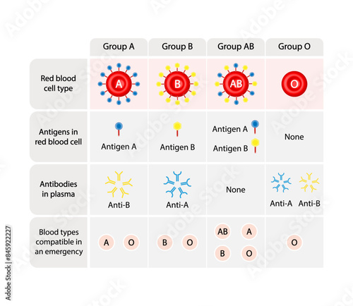 Blood donation background. Abo Blood Group Concept Design. ABO Blood groups. four blood types, A,B, AB and O groups, made up from combinations of the type A and type B antigens. Vector Illustration.