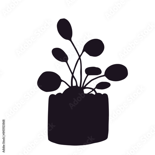 Silhouette of a houseplant in a flower pot, vase.Vector graphics.