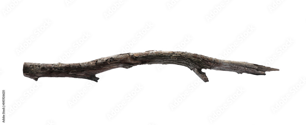 Obraz premium Old dry tree branch isolated on white