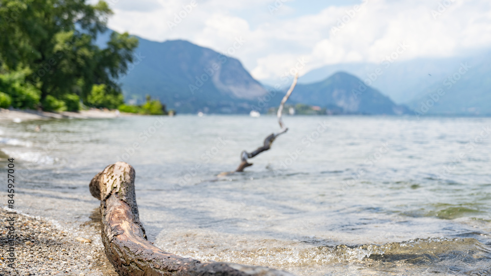 Fototapeta premium Parco P - Lago Maggiore (2024-05)