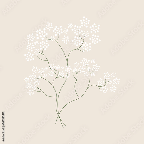 Vector gypsophila flowers. Flowers icon logo floristry vector. An exotic flower for a wedding bouquet. Flowers for a bouquet decor vector. Set of colorful vector flowers. Vector illustration.