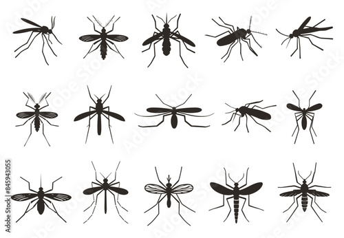 Mosquito silhouettes. Proboscis, bite. Aegypti flying mosquito. Zika virus transmission. Fly pest. Malaria and dengue day. Vector clipart
