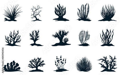 Sea grass and corals silhouette set. Seaweed monochrome. Underwater plants. Aquarium alga set, ocean water plants. Isolated elements. Vector collection