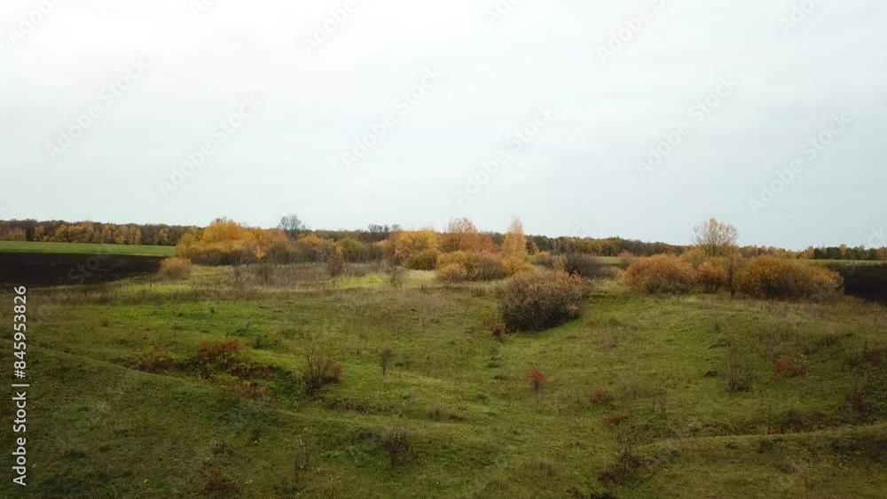 Autumn landscape with waterbody, displaying seasons beauty and nature from above Autumn landscape with waterbody, displaying seasons beauty and nature from above