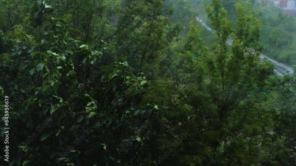 Rain storm on the street, summer strong wind sways the trees, climate change concept. Rain storm on the street, summer strong wind sways the trees, climate change concept.
