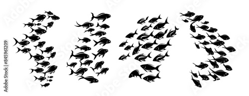 Fish flock black silhouettes vector set. Group crowd unity pack together swim underwater ocean sea reservoir gathering animals, illustration isolated on white background