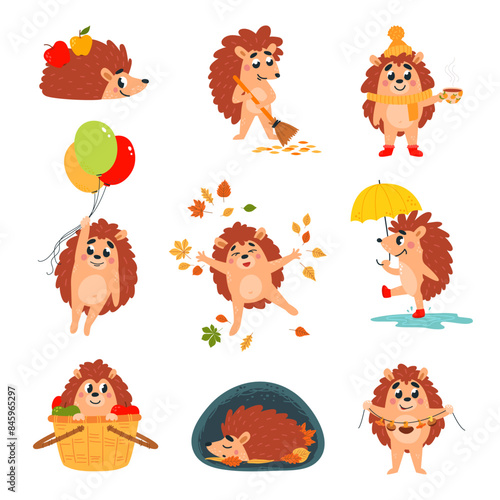Cartoon hedgehogs. Forest hedgehog sleeping walking with umbrella sitting in basket with apples. Childish autumn mascots, classy vector set