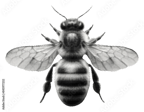 bee isolated retro halftone effect grunge dotted vintage cutout collage element for mixed media design