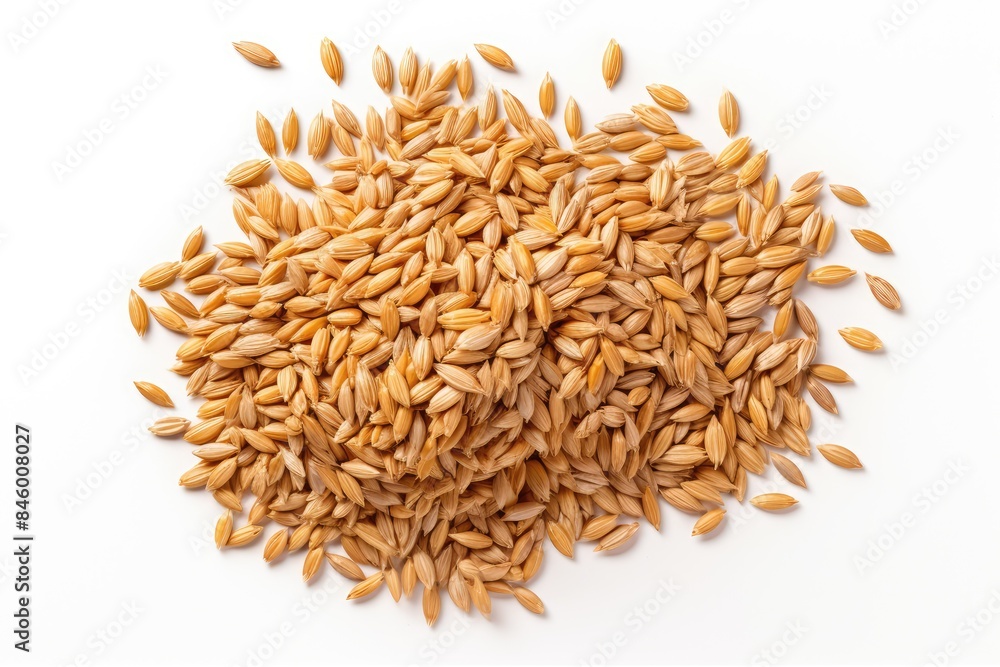 Wheat Grains Isolated, Barley Pile, Dry Cereal Seeds for Bread, Spelta Healthy Organic Food, Wheat Grains Wheat Grains Isolated, Barley Pile, Dry Cereal Seeds for Bread, Spelta Healthy Organic Food, Wheat Grains