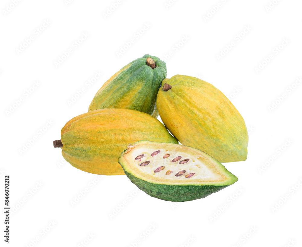 cocoa fruit isolated on transparent png cocoa fruit isolated on transparent png