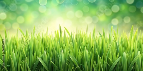 Lush green grass background perfect for nature themes, green, grass, background, texture, nature, outdoors, vibrant, foliage, plant, environment, natural, meadow, field, spring, peaceful © Sujid