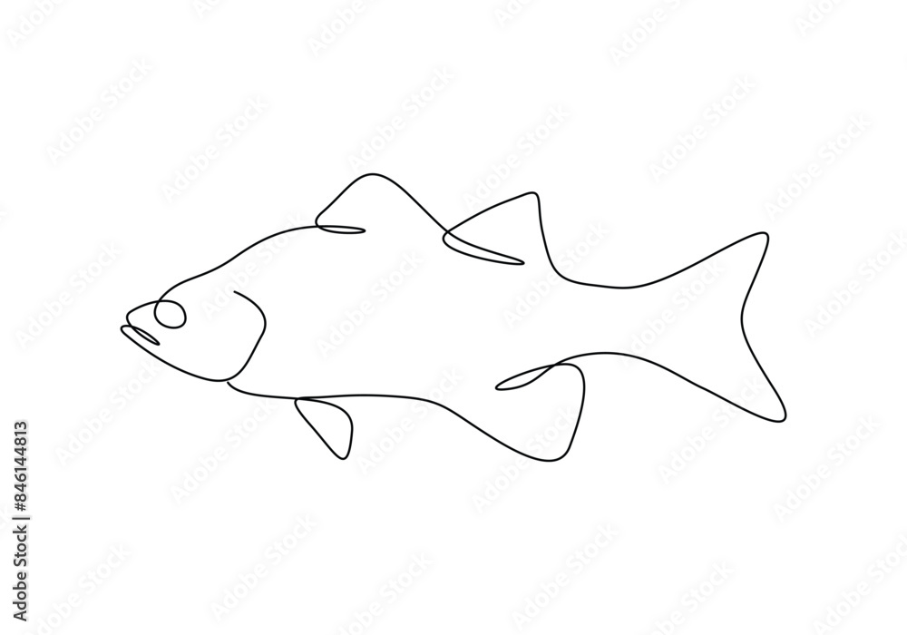 Obraz premium Sea bass fish continuous one line drawing vector illustration. Pro vector