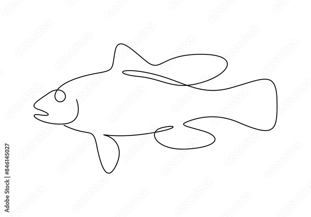 Sea bass fish continuous one line drawing vector illustration. Pro vector Sea bass fish continuous one line drawing vector illustration. Pro vector