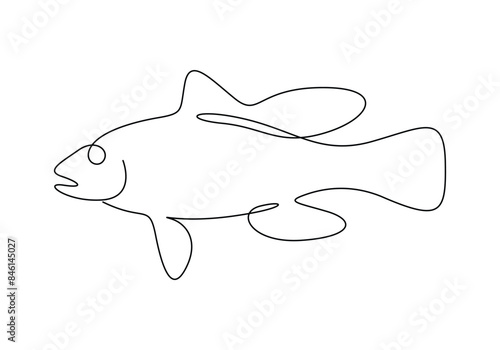 Sea bass fish continuous one line drawing vector illustration. Pro vector
