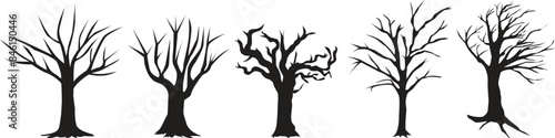 Silhouette of a tree trunk. Old tree. Black Branch Tree or Naked trees silhouettes. Hand drawn isolated illustrations.