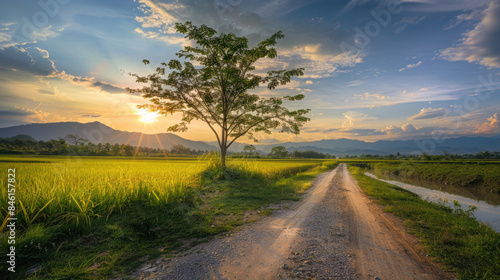 A dirt road winding through a green field at sunset in the countryside with mountains in the background © Jeeraphat