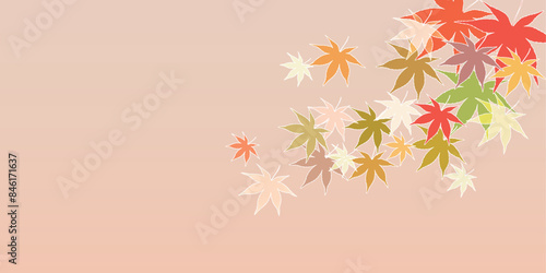 紅葉　葉　秋　背景	