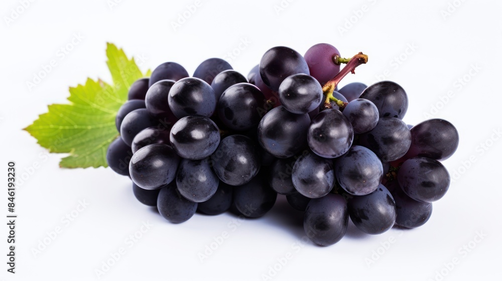 Fresh black grapes on white background. Fresh black grapes on white background.