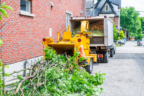 arborist company's wood chipper set up n a residential laneway ready to shred freshly cut maple branches into the back of an attached truck photo