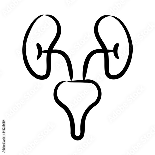 Urology Icon