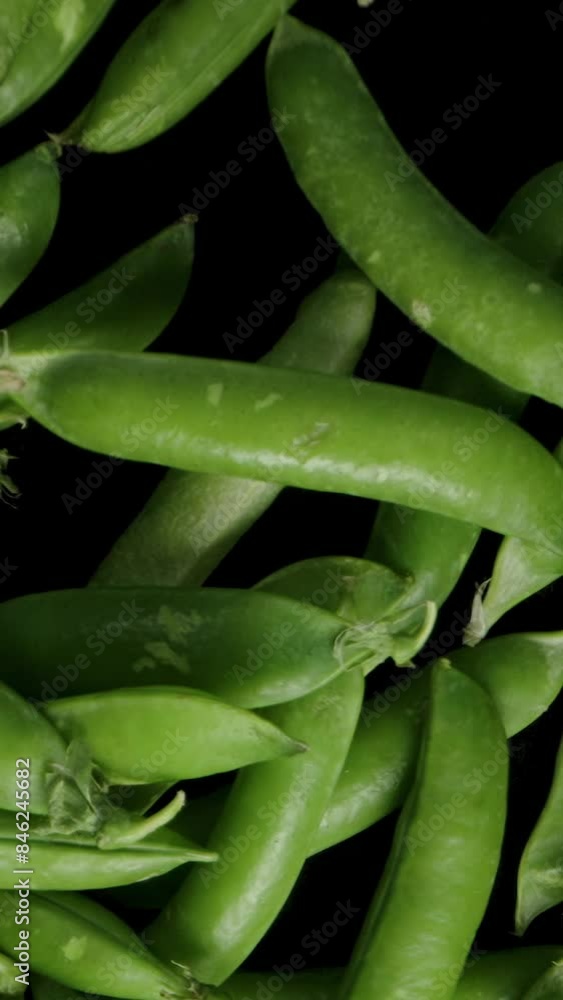 Vertical video. Pea Pods falling onto a black background, top view.