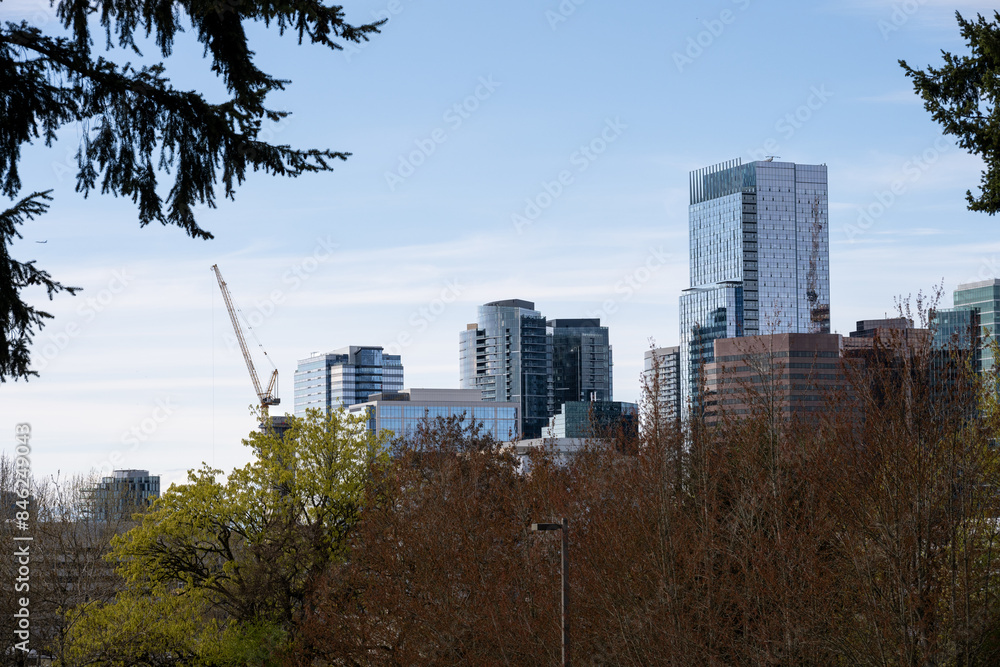 Obraz premium Peaceful view over trees of a modern city skyline with cranes, Bellevue, Washington