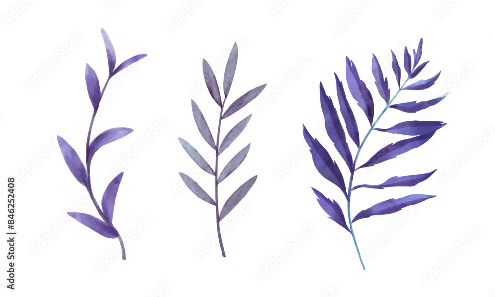 Fototapeta premium Flowers painted with watercolors set on white