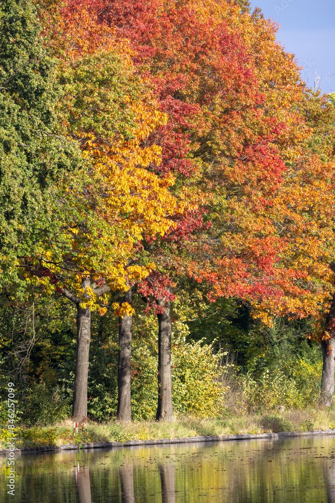 Obraz premium In autumn, a picturesque lake is enveloped by trees displaying vibrant colorful leaves, creating a stunning natural landscape with water, plants, and sky