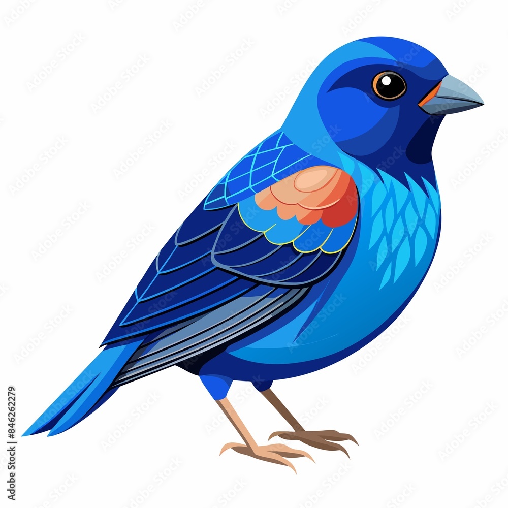 Obraz premium blue bird isolated