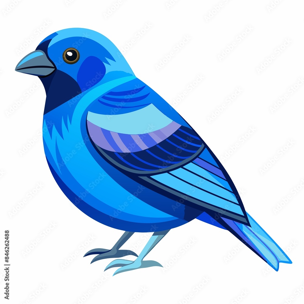 Obraz premium blue bird isolated